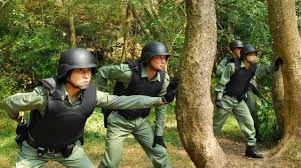 Phim Đơn vị chiến thuật: Comrades in Arms - Tactical Unit: Comrades in Arms