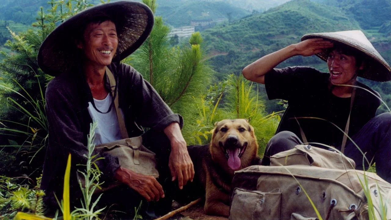 Phim Ngọn Núi Đó, Con Người Đó, Con Chó Đó - Postmen in the Mountains